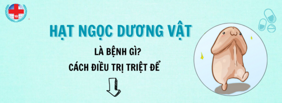 hạt ngọc dương vật.png